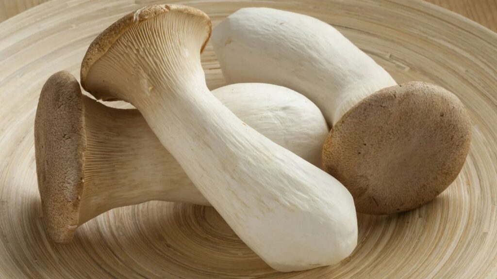 King trumpet mushroom benefits