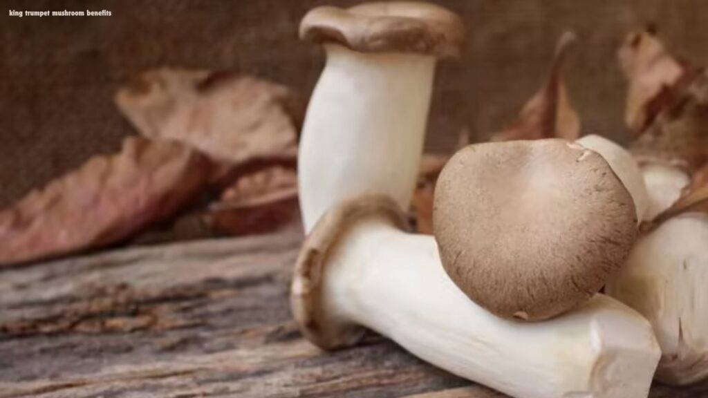 King trumpet mushroom benefits